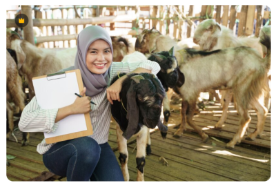 Mengelola Reputasi Online untuk Bisnis Qurban di Pagedangan, Kabupaten Tangerang